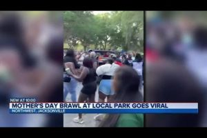 Mother's Day brawl at Jacksonville park goes viral | Action News Jax