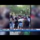 Mother's Day brawl at Jacksonville park goes viral | Action News Jax