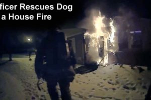 Officer Rescues Woman's Dog after her House Catches Fire