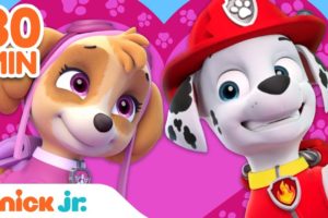 PAW Patrol Celebrates Friendship Day 💖 w/ Skye, Marshall & Chase | 30 Minute Compilation | Nick Jr.