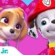 PAW Patrol Celebrates Friendship Day 💖 w/ Skye, Marshall & Chase | 30 Minute Compilation | Nick Jr.