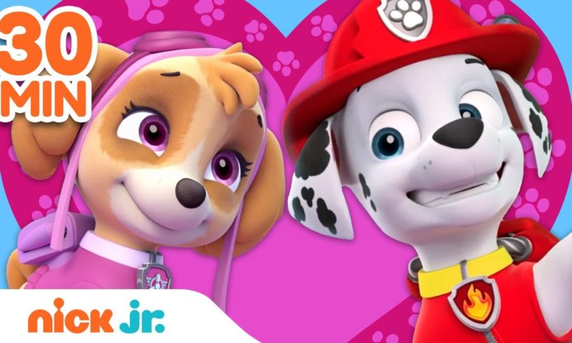 PAW Patrol Celebrates Friendship Day 💖 w/ Skye, Marshall & Chase | 30 Minute Compilation | Nick Jr.
