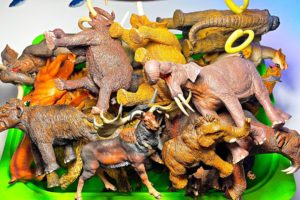 Prehistoric Animals Collection - Woolly Mammoth, Smilodon, Megacerops, Woolly Rhino, Mastodon