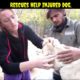 Rescues help injured 😭😭🐕dog./#shorts.........