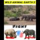 Rhino v/s buffalo//Craziest Fights of Wild animals_#shorts #willanimalsfights #wild_animal_earth_2