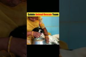 Salute To Animal Rescue | Animal | #short #rescue #shortvideo