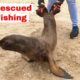 Seal Rescued from Fishing Line