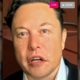 “She Seduced Me” Elon Musk Apologizes To Johnny Depp For Having An Affair With Amber Heard