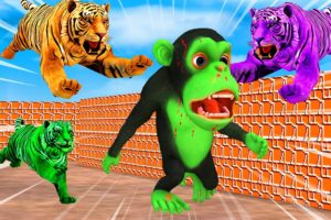 Temple Run Funny Monkey Run away From Zombie Tigers | Zombie Monkey vs Giant Tigers Animal Fight