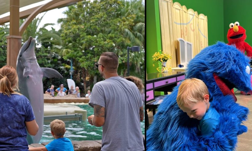 The Family Adventure Tour At SeaWorld Orlando! | Feeding Animals, Cool Facts & Behind The Scenes!