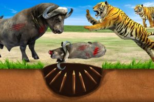 Tiger vs Buffalo Fight Giant Tiger Trap Cow Cartoon Saved By Woolly Mammoth  Wild Animal Fight