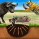 Tiger vs Buffalo Fight Giant Tiger Trap Cow Cartoon Saved By Woolly Mammoth  Wild Animal Fight