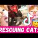 TikTok Cat Rescues & Adoptions 🥺 Compilation Video