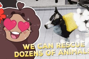 Time To Rescue DOZENS of Animals!! 🐶🩹 Animal Shelter Simulator • #9