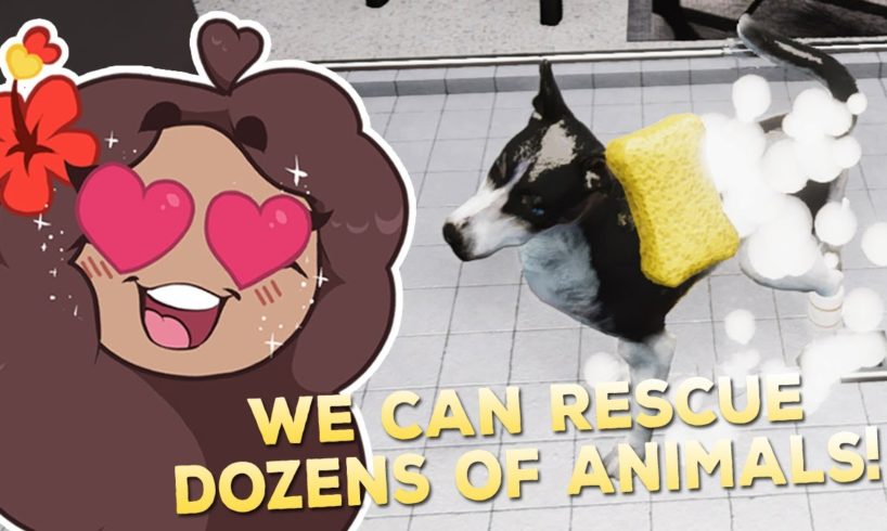 Time To Rescue DOZENS of Animals!! 🐶🩹 Animal Shelter Simulator • #9