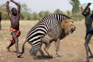 Top 10 Strongest Prey In The Wild - When Prey Fights Back - Prey VS Predator - Blondi Foks