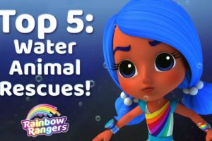 Top 5 Underwater Animal Rescues | Rainbow Rangers