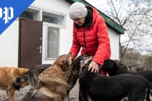 Ukrainian woman saves hundreds of animals during Russian invasion