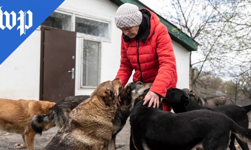 Ukrainian woman saves hundreds of animals during Russian invasion