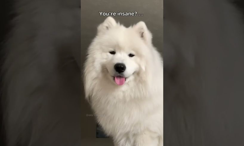 Wait till end!😂 •• more #shorts