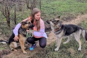 Watch this Tear-Jerking Moment of the Dog Asking me to not Separate Him and His Sick Friend...