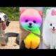cute baby animals #video #compilation #cute #moments #of the 2022 -paws House