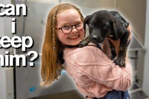 10-Year-Old Has Only 10 Minutes to ADOPT A PUPPY *Emotional*