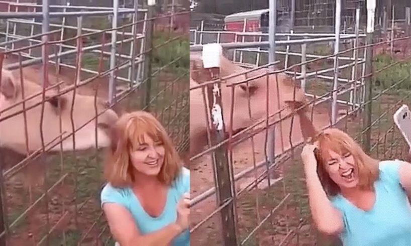 Funny Videos 2022 | Instant Regret | Fails Of The Week | Fail Compilation 2022 | Fails | RandomFails