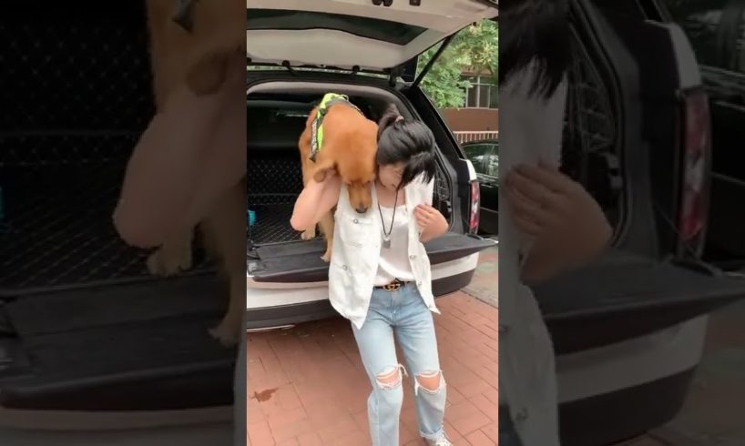 Funniest & Cutest Puppies - Funny Puppy Videos | Cute and Funny Dog Videos | Minutes of Funny Puppy