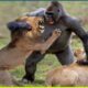 17 Most Merciless Battles Between Wild Animals