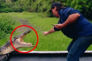 20 Scariest Animal Encounters You Shouldn't Click On