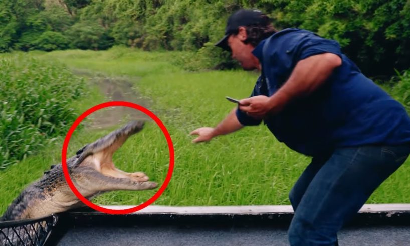 20 Scariest Animal Encounters You Shouldn't Click On