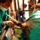 20 kgs (45 pounds) of plastic removed from bull's stomach in India.