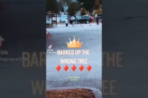 2022 street fight..Bullie gets served😵‍💫😵⚱️🪦must see!!! #shorts #hoodfights