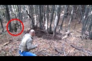 4 Bear Encounters That Will Make You Anxious (Part 3)