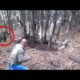 4 Bear Encounters That Will Make You Anxious (Part 3)