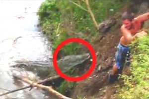 4 Crocodile Encounters That Will Haunt You (Part 6)