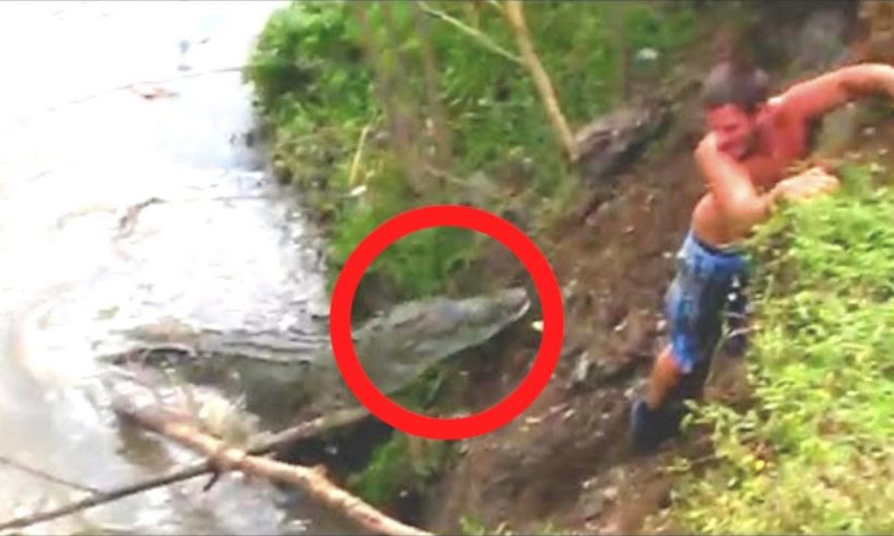 4 Crocodile Encounters That Will Haunt You (Part 6)