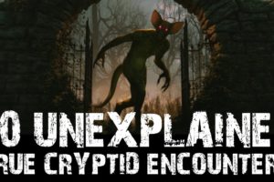 40 UNEXPLAINED SCARY CRYPTID ENCOUNTER HORROR STORIES (COMPILATION)