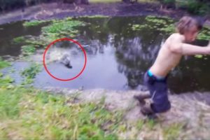 5 Dangerous Crocodile Encounters That Will Give You Chills