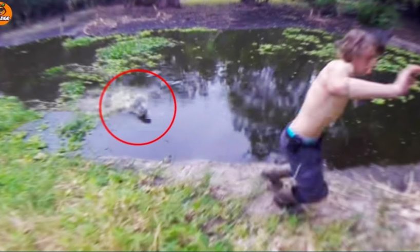 5 Dangerous Crocodile Encounters That Will Give You Chills