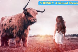 🐕 5 RISKY 🐄 Animal Rescues.