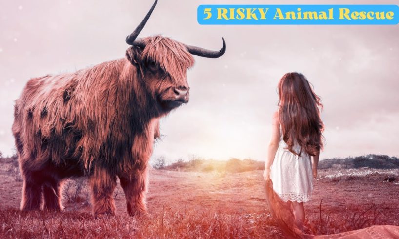 🐕 5 RISKY 🐄 Animal Rescues.