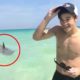 5 Shark Encounters You Should Avoid Seeing