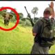 6 Insane Elephant Encounters That Will Give You Serious Anxiety
