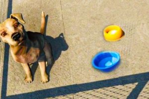 Adopt Dogs ( Animal Shelter Sim Game ) Part 3