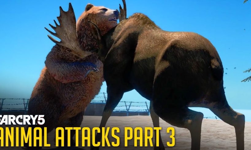 All Animal Attacks on Grizzly Bear (Animal Attacks Part 3) Animals VS Bears - FAR CRY 5