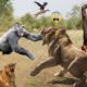 Amazing Wild Animals Attacks - Wild Animal Fights Caught On Camera - Wild Animals Ultimate Fights