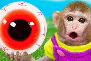 Baby Monkey KiKi Playing with GIANT Eyeball Jelly Candy | KUDO ANIMAL KIKI