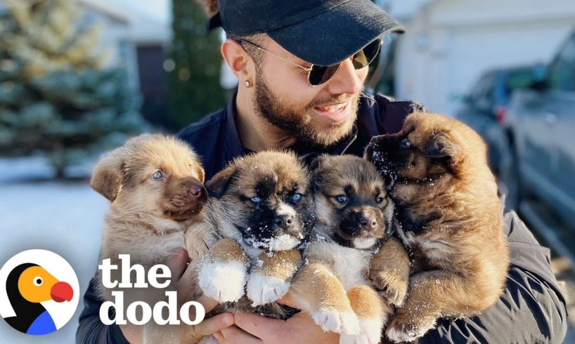 Brady Oliveira Saves Puppies In His Free Time | The Dodo Teammates